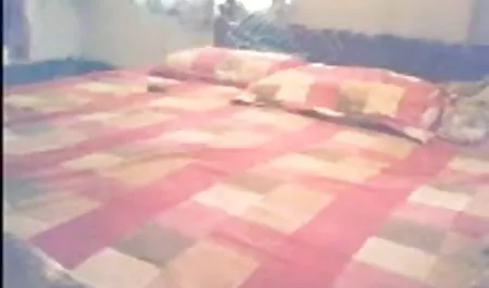 वर्तमान में, सींग की चूत दुनिया में सेक्स हिंदी पिक्चर सबसे अनुभवी और सबसे कठिन डिक की हकदार है