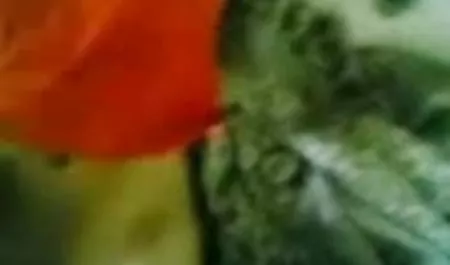 मैरी जाग गई और तुरंत एक संभोग सुख सेक्सी फिल्में भेजिए चाहती थी