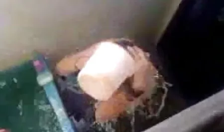 बूढ़ा लेस्बियन जवान हिंदी फिल्म फिल्म सेक्सी गोरे बदन को सहलाता है