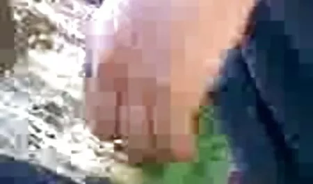 प्रकृति सेक्स फिल्म अंग्रेजी वीडियो में एक पिकनिक पर जा रही सुंदर कुतिया