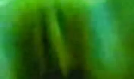 माँ मेरे दोस्त हिंदी फिल्म मूवी सेक्सी के साथ एक मोटल में गड़बड़ हो जाती है