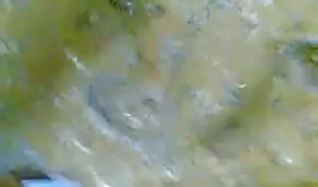 एक सेक्स मालिश सत्र के दौरान, मालिश करने वाला ग्राहक के एक सदस्य को उठाता है और उसे हस्तमैथुन करता है, कुशलता से चूसता है, वह उसके मुंह के बीपी सेक्सी वीडियो फिल्म साथ 100 के लिए काम करता है, अंत में वह अपनी बिल्ली को समाप्त करता है
