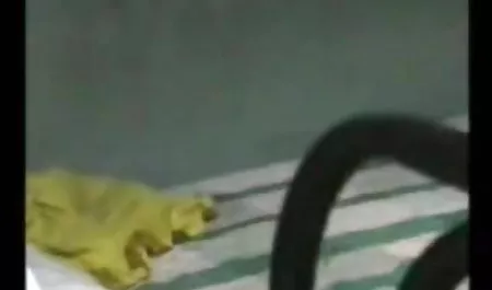 सेक्सी मिशेल ने एक सेक्सी फिल्म बीएफ हिंदी डिक की सवारी करते हुए एक तंग, निविदा गधे पर खींच लिया