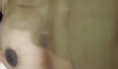 डबल मूवी सेक्सी वीडियो प्रवेश ने सोफिया नामक एक परिचित कुतिया के स्वस्थ केबल बनाए