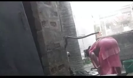एक सुंदर लड़की उसके चेहरे पर शुक्राणु लेती है सेक्सी फिल्म दिखाएं सेक्सी
