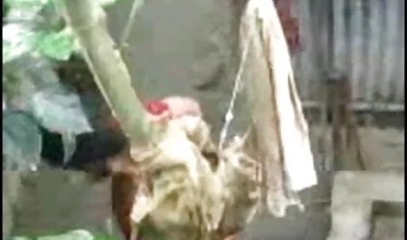 लड़का अपनी प्रेमिका हिंदी सेक्सी फिल्म फिल्म को आर्बर में ले आया और उसे नंगा कर दिया, उसके दुबले-पतले शरीर को सहलाने लगा, लड़की की चूत गीली हो गई और उसने एक मीठी कराह के साथ अपने पैर फैला दिए।